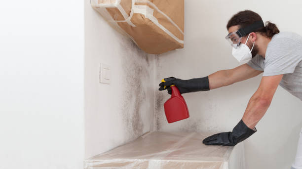 Professional Hvac And Air Duct Mold Remediation technician working in Marlboro, NJ